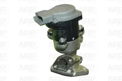 Válvula EGR NAP carPARTS CAV10068