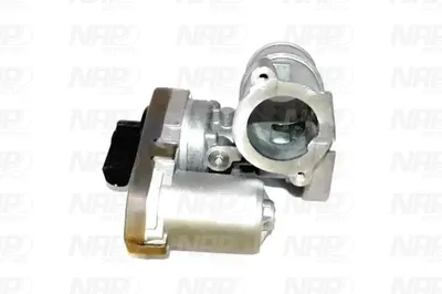 Válvula EGR NAP carPARTS CAV10069