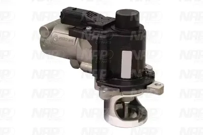 Válvula EGR NAP carPARTS CAV10073