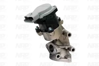 Válvula EGR NAP carPARTS CAV10074