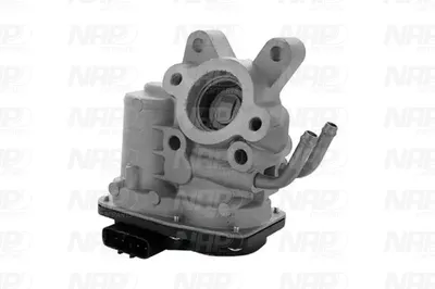 Válvula EGR NAP carPARTS CAV10079