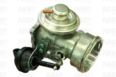 Válvula EGR NAP carPARTS CAV10082