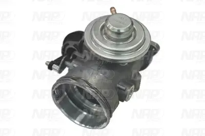 Válvula EGR NAP carPARTS CAV10083