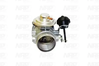 Válvula EGR NAP carPARTS CAV10084