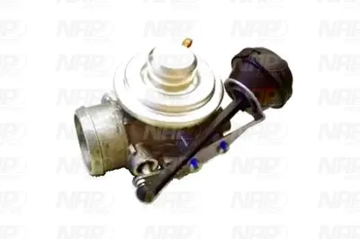 Válvula EGR NAP carPARTS CAV10085
