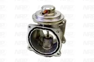 Válvula EGR NAP carPARTS CAV10087