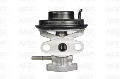Válvula EGR NAP carPARTS CAV10092