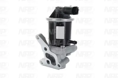 Válvula EGR NAP carPARTS CAV10093