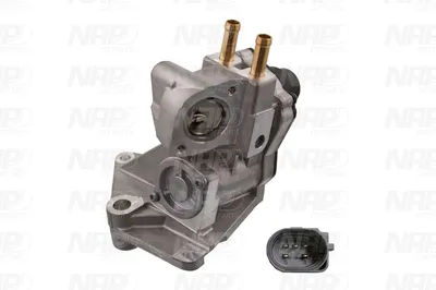 Válvula EGR NAP carPARTS CAV10095