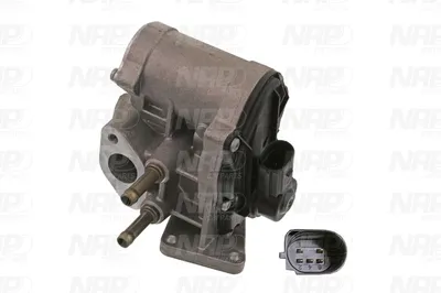 Válvula EGR NAP carPARTS CAV10096