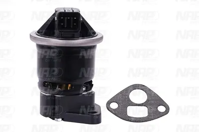 Válvula EGR NAP carPARTS CAV10103
