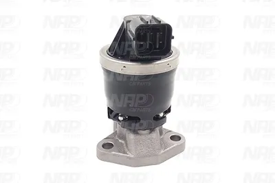 Válvula EGR NAP carPARTS CAV10105