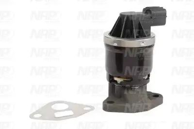 Válvula EGR NAP carPARTS CAV10106