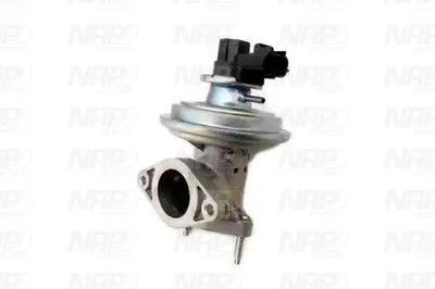 Válvula EGR NAP carPARTS CAV10109