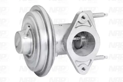 Válvula EGR NAP carPARTS CAV10110