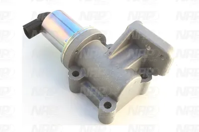 Válvula EGR NAP carPARTS CAV10113