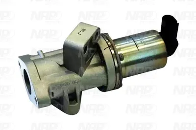 Válvula EGR NAP carPARTS CAV10117