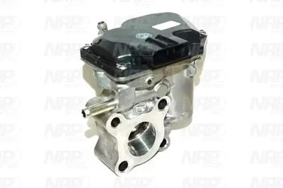 Válvula EGR NAP carPARTS CAV10120