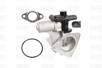 Válvula EGR NAP carPARTS CAV10122