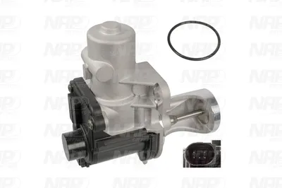 Válvula EGR NAP carPARTS CAV10127