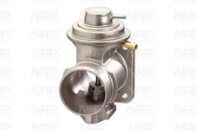 Válvula EGR NAP carPARTS CAV10130