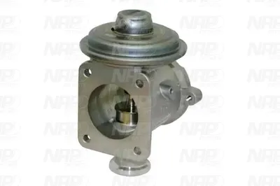 Válvula EGR NAP carPARTS CAV10133