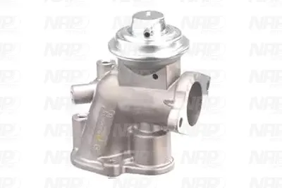 Válvula EGR NAP carPARTS CAV10136