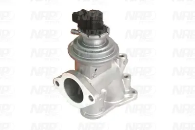 Válvula EGR NAP carPARTS CAV10137