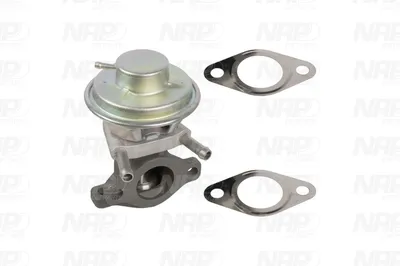 Válvula EGR NAP carPARTS CAV10138