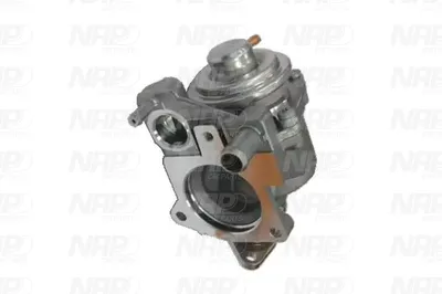 Válvula EGR NAP carPARTS CAV10139