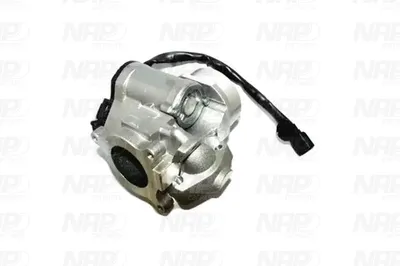 Válvula EGR NAP carPARTS CAV10141