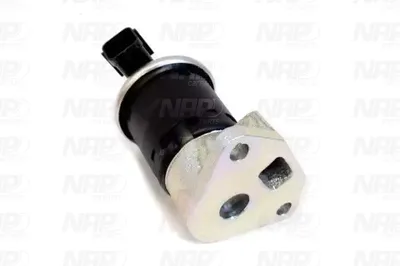 Válvula EGR NAP carPARTS CAV10144