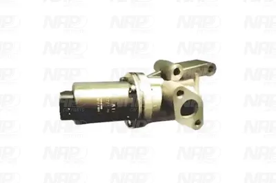 Válvula EGR NAP carPARTS CAV10146