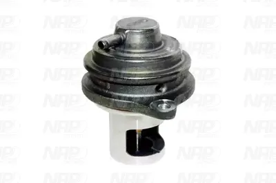 Válvula EGR NAP carPARTS CAV10147