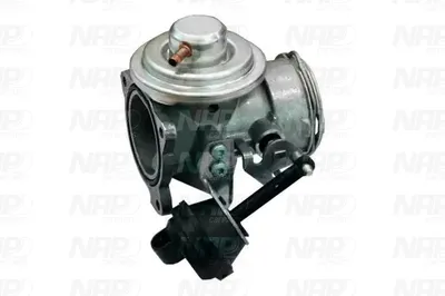 Válvula EGR NAP carPARTS CAV10149