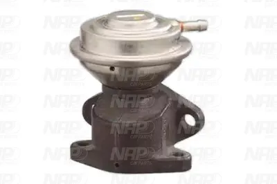 Válvula EGR NAP carPARTS CAV10150