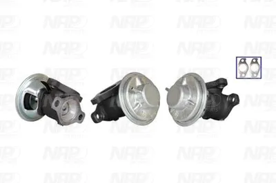 Válvula EGR NAP carPARTS CAV10152