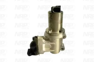 Válvula EGR NAP carPARTS CAV10157