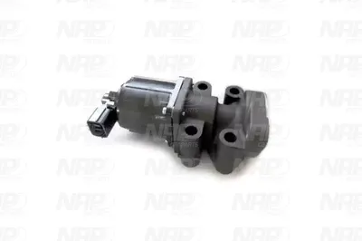 Válvula EGR NAP carPARTS CAV10159