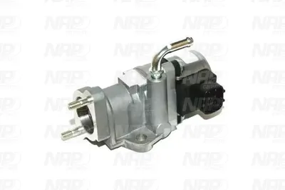 Válvula EGR NAP carPARTS CAV10160