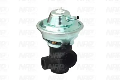 Válvula EGR NAP carPARTS CAV10161