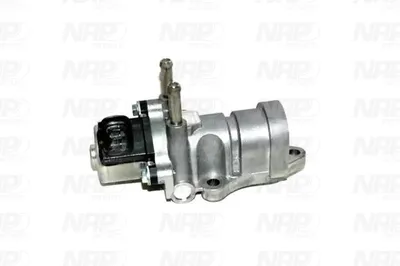 Válvula EGR NAP carPARTS CAV10162