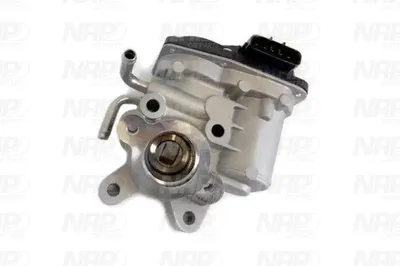 Válvula EGR NAP carPARTS CAV10164