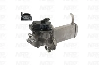 Válvula EGR NAP carPARTS CAV10167