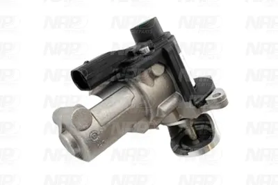 Válvula EGR NAP carPARTS CAV10168
