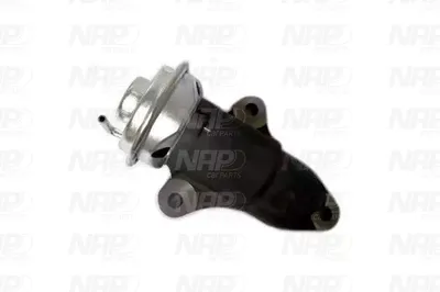 Válvula EGR NAP carPARTS CAV10169