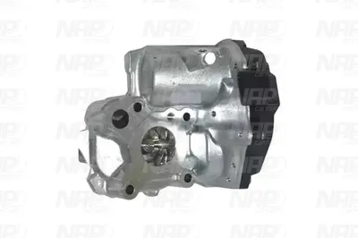 Válvula EGR NAP carPARTS CAV10174