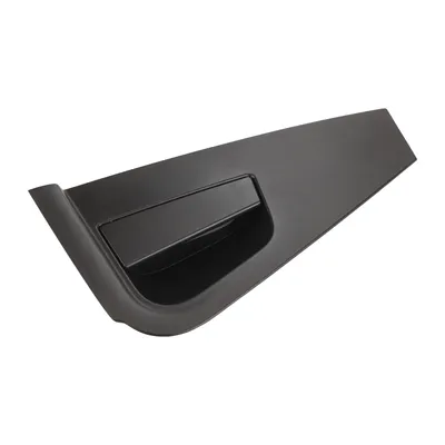 Türgriff hinten links