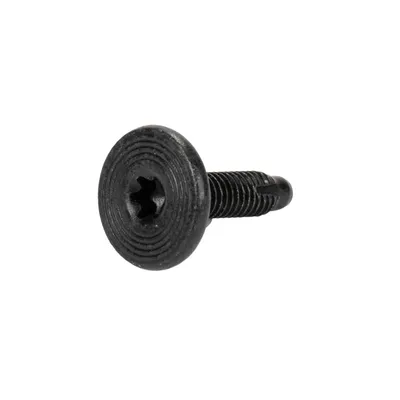 Schraube Torx T-30 M6