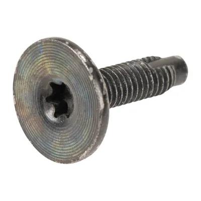 Schraube Torx T-30 M6 OE (51810310)